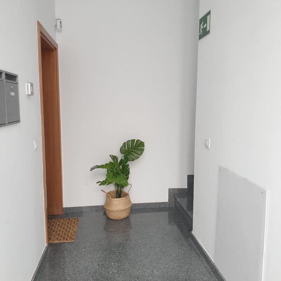City Suite Las Palmas de Gran Canaria Kültér fotó